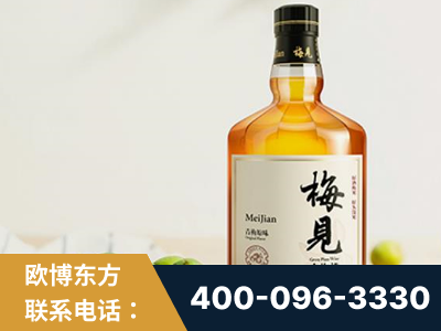 萍乡-梅见青梅酒
